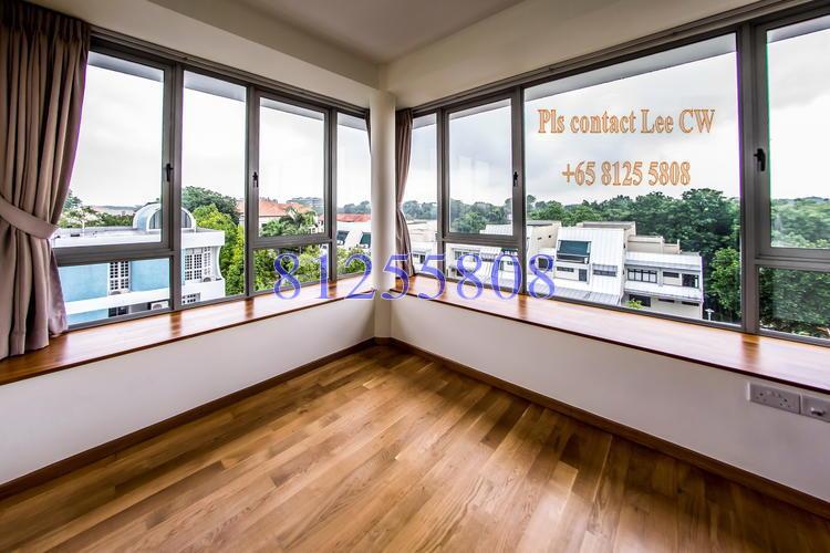 D' Chateau @ Shelford (D11), Apartment #153494262
